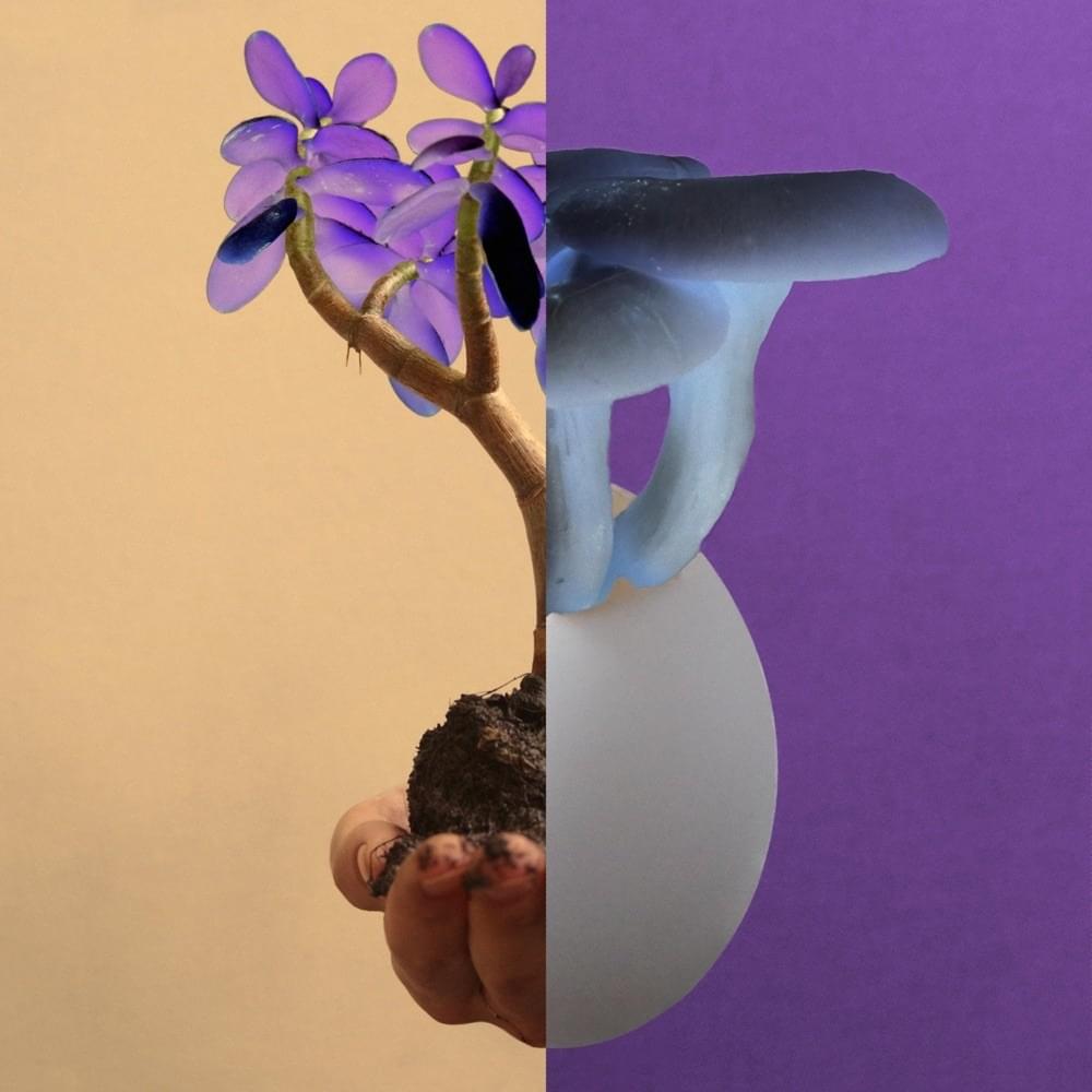 Cover image for The End and the Beginning - EP