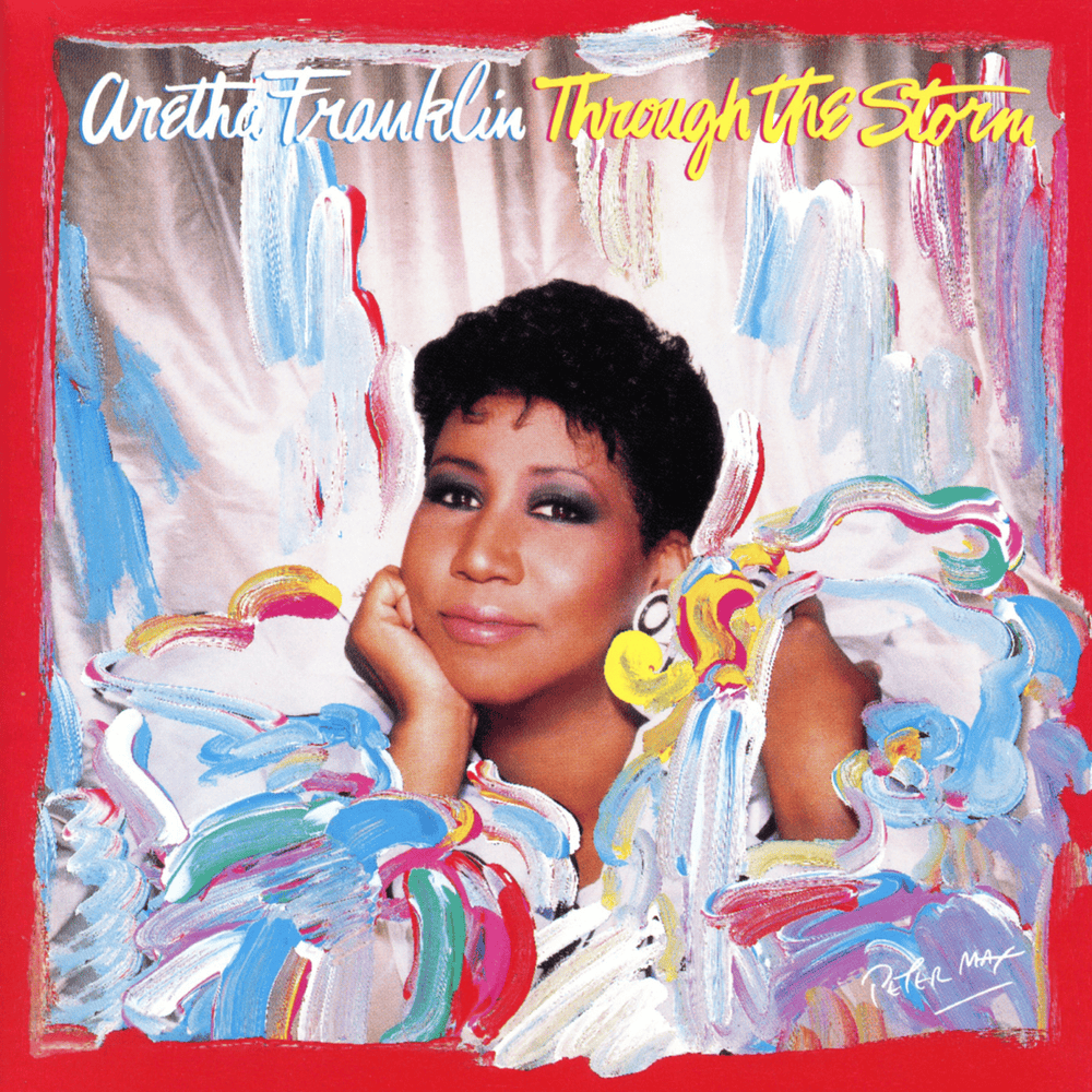 Cover image for Through the Storm