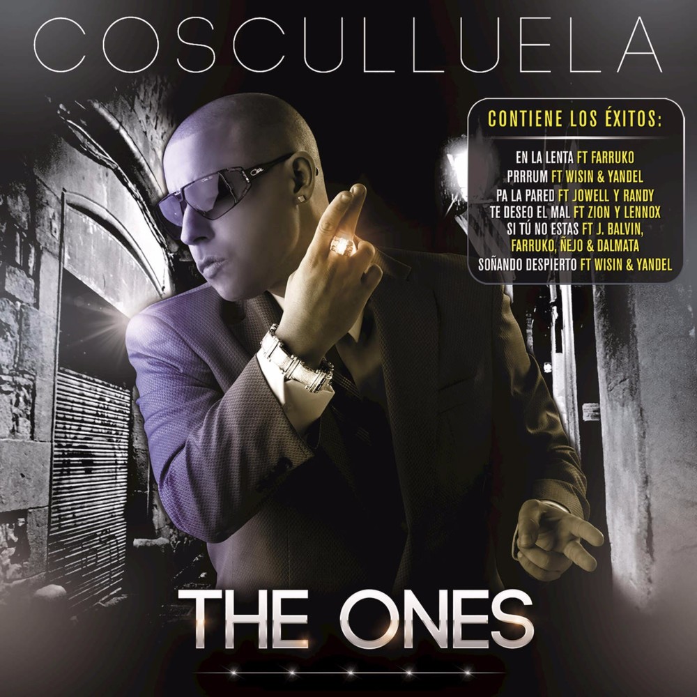 Cover image for The Ones