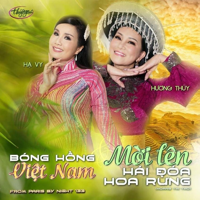 Album cover art for "Bóng Hồng Việt Nam" by Hạ Vy (VNM)