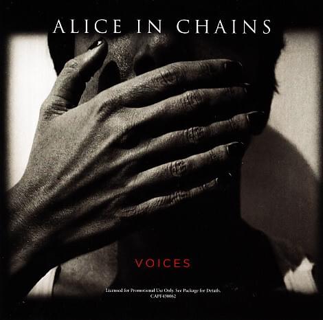 Album cover art for "Voices" by Alice in Chains
