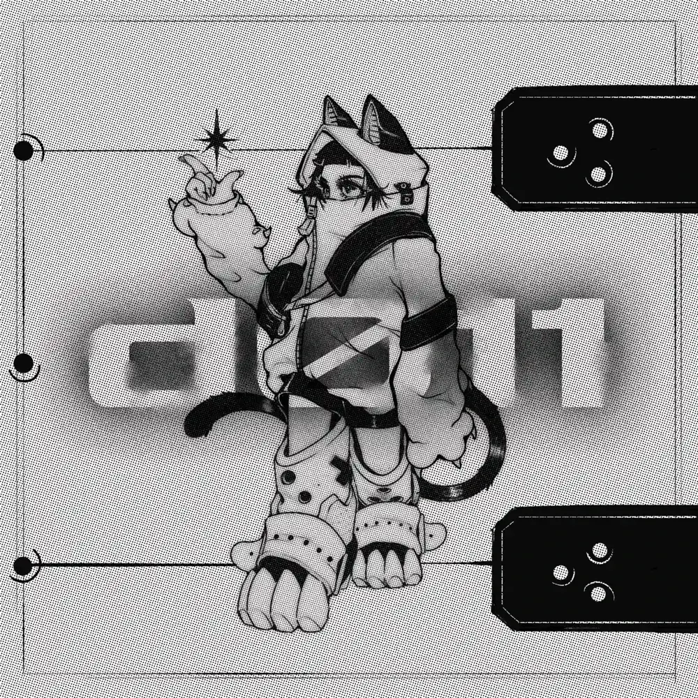 Cover image for d011