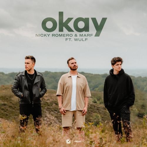 Album cover art for "Okay" by Nicky Romero & Wulf