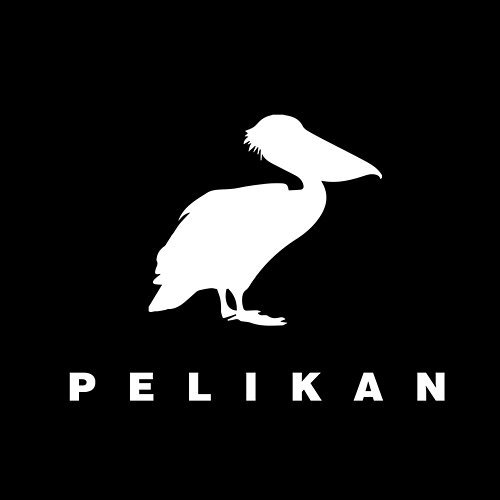 Album cover art for "Pelikan" by Malik Montana