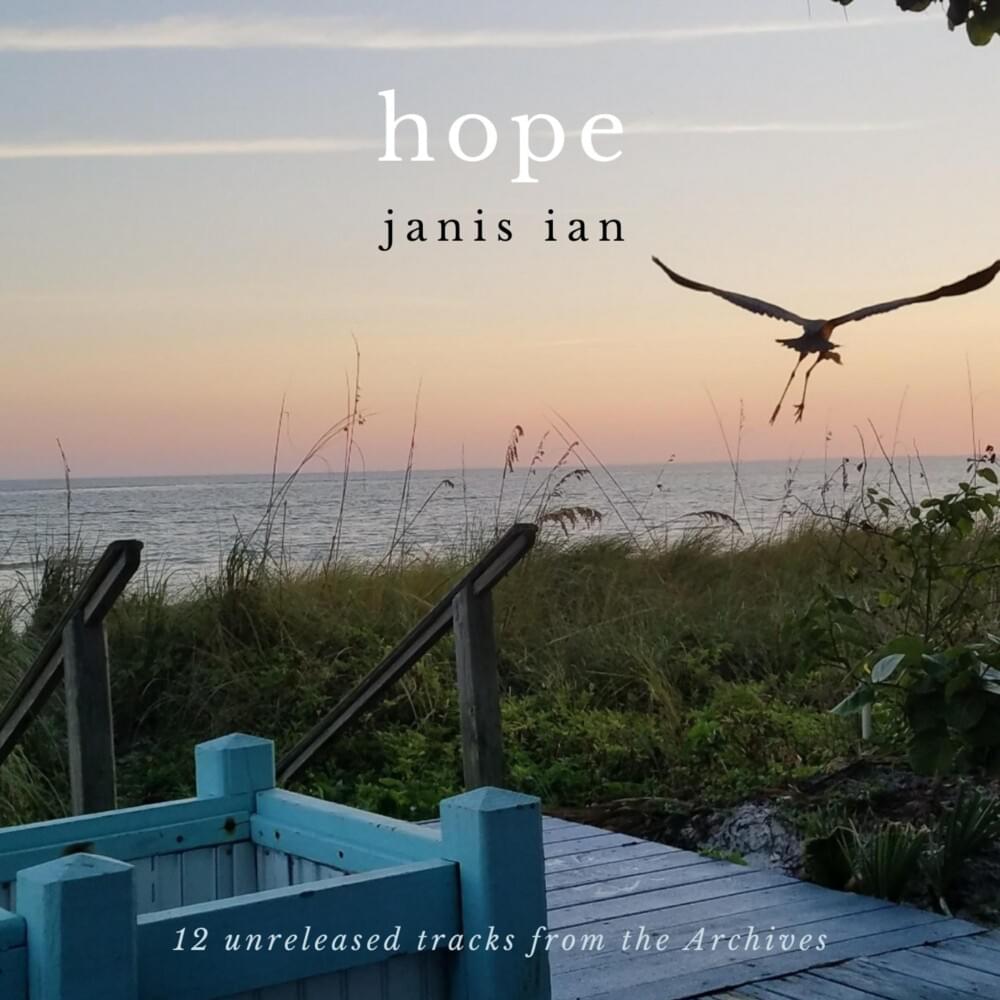 Album cover art for "We Endure" by Janis Ian