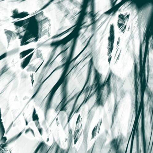 Cover image for Dented