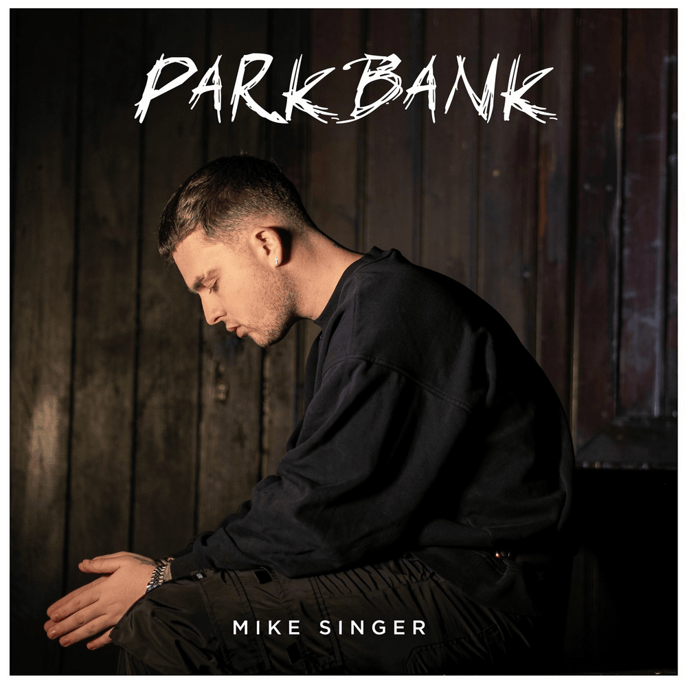 Album cover art for "Parkbank" by Mike Singer