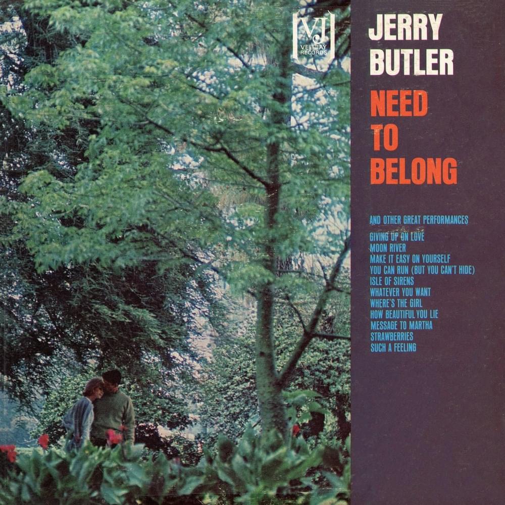 Cover image for Need to Belong