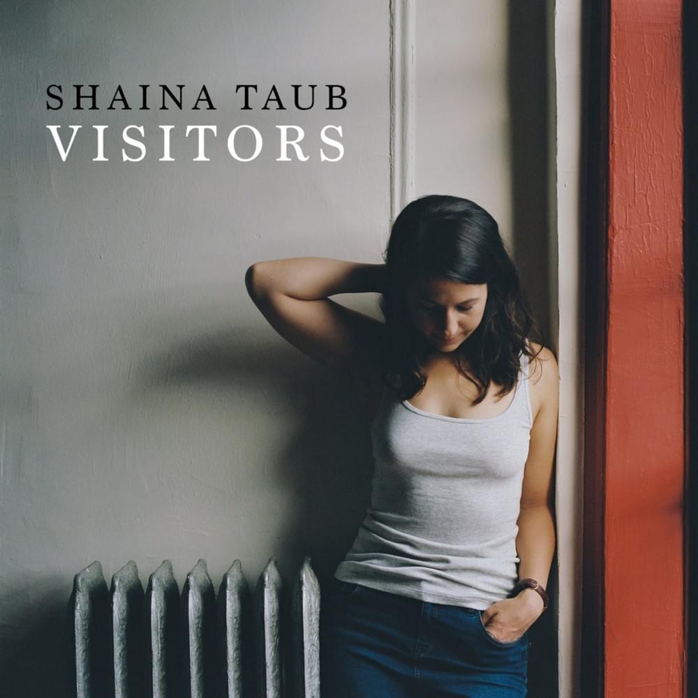 Cover image for Visitors