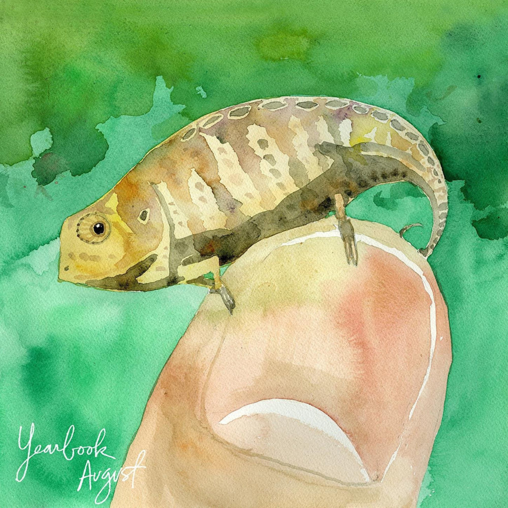 Album cover art for "Households" by Sleeping At Last