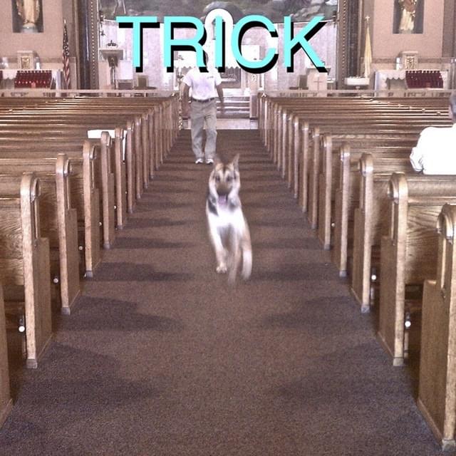 Album cover art for "Adam" by Alex G