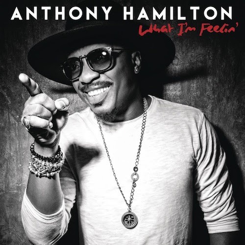 Album cover art for "Take You Home" by Anthony Hamilton