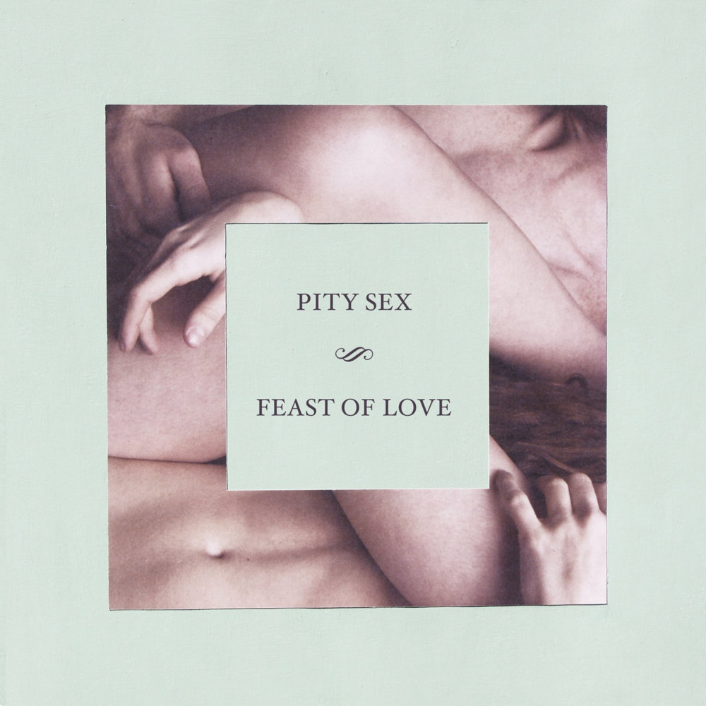 Cover image for Feast of Love