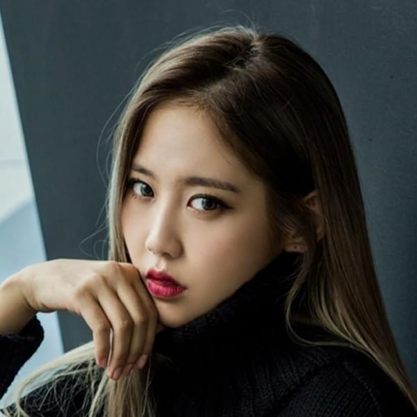 Yuk Ji Dam (육지담) Profile Picture Photo of Yuk Ji Dam (육지담)
