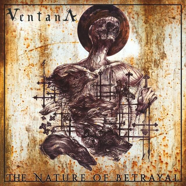 Life Expectancy by Ventana