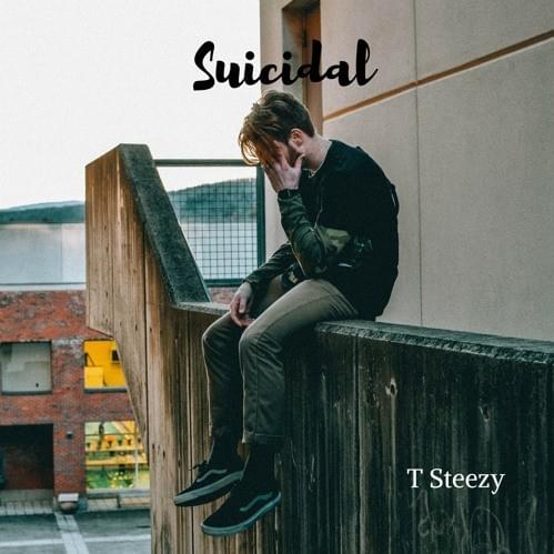 Cover image for Suicidal