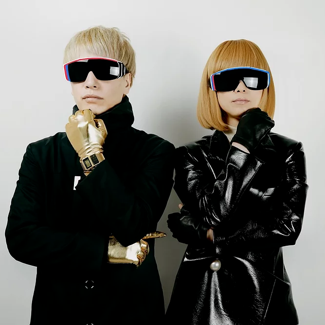 Cover image for CAPSULE