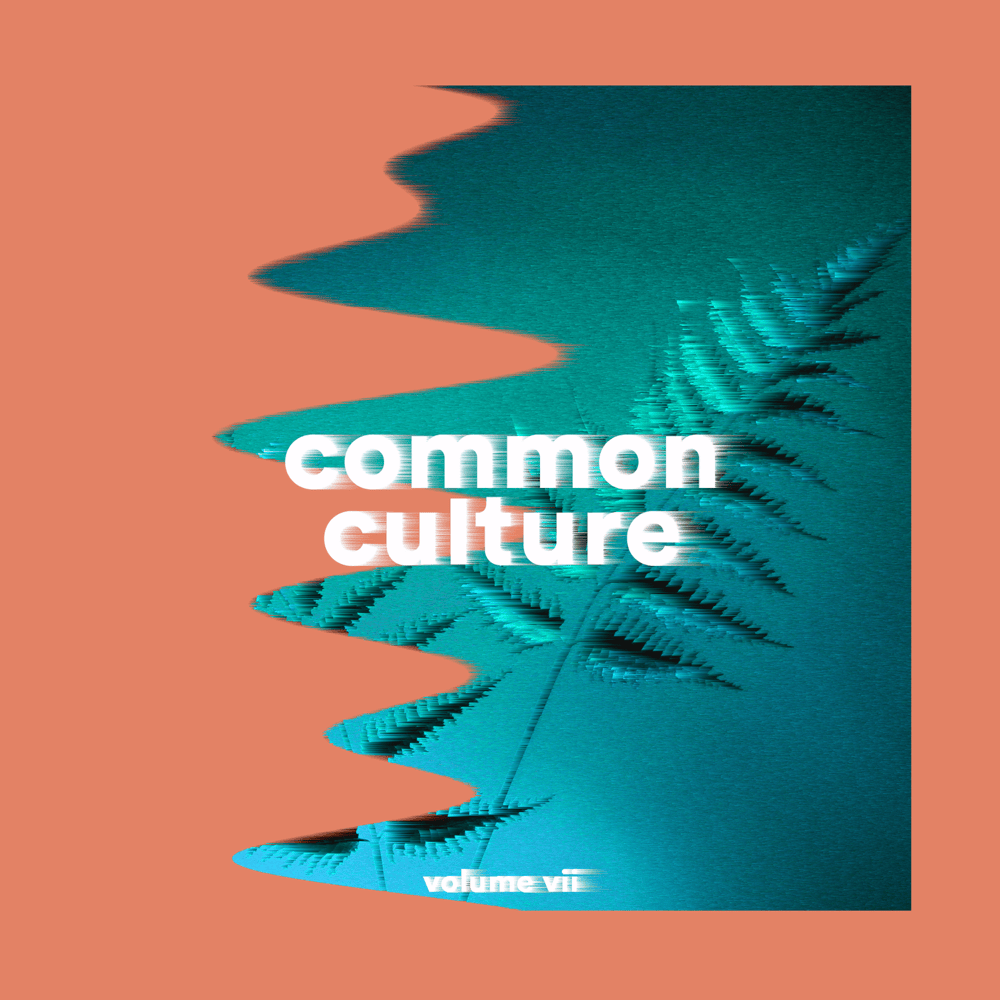 Cover image for Common Culture, Vol. VII