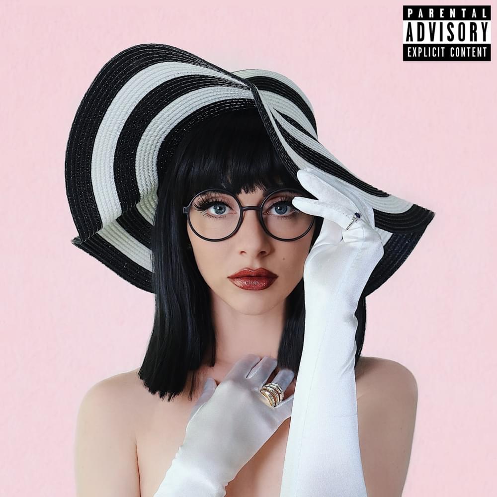 Cover image for The Vignettes