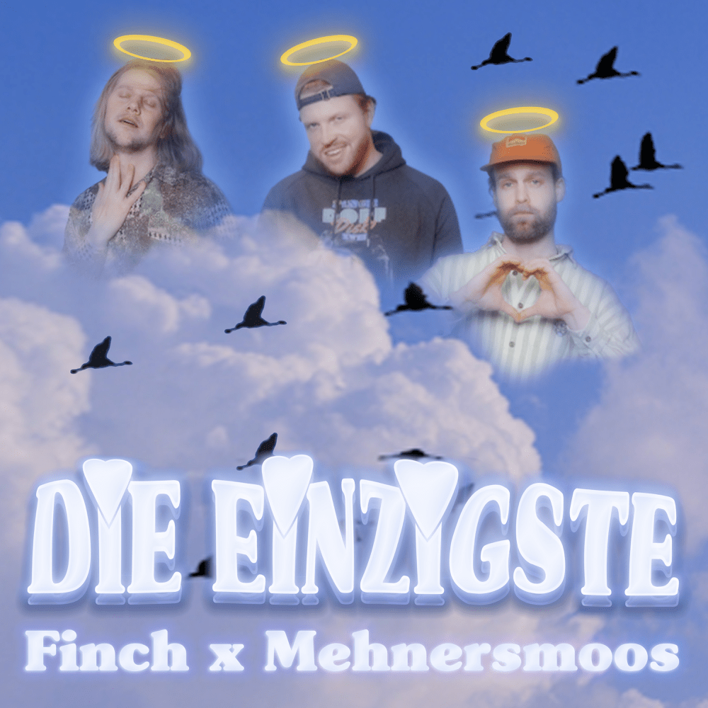Album cover art for "DiE EiNZiGSTE" by FiNCH