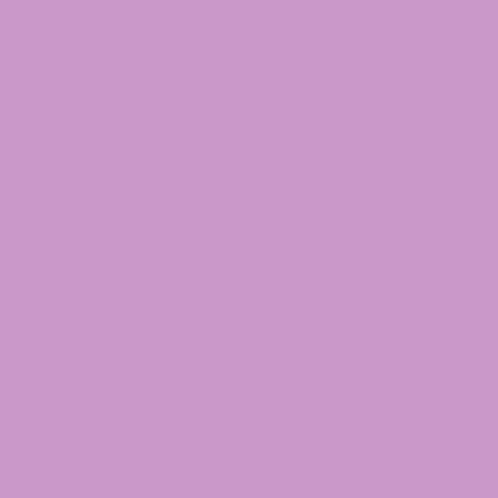 Everything About You by The Field Mice