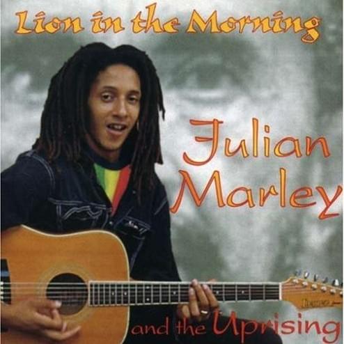 Lion In The Morning by Julian Marley