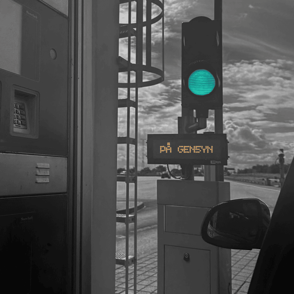 Cover image for PÅ GEN5YN