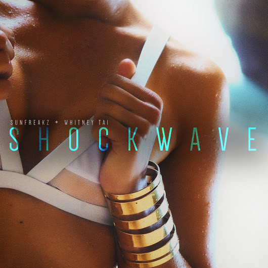 Cover image for Shockwave