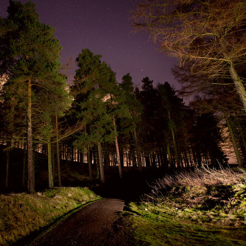 Album cover art for "We Can Do What We Want" by Drenge
