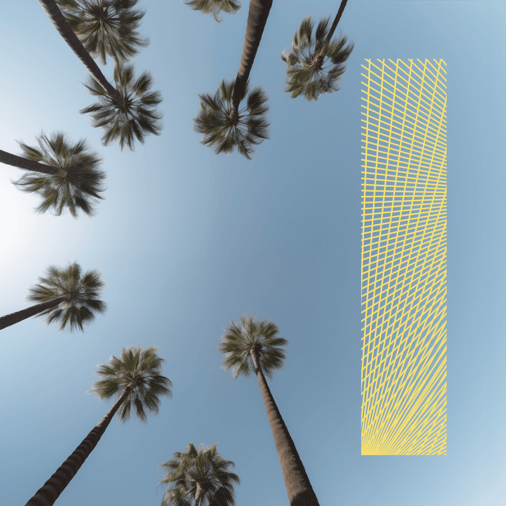 Album cover art for "Herr Aber Aber" by Tua
