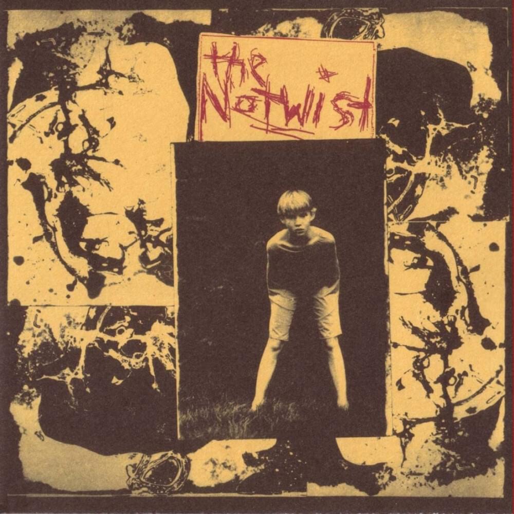 Is It Fear? by The Notwist
