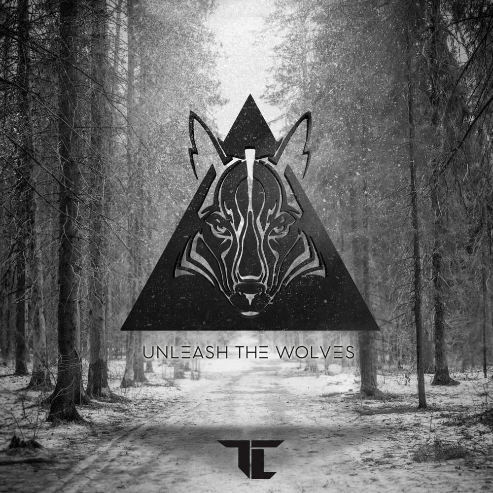 Next Hype by TC