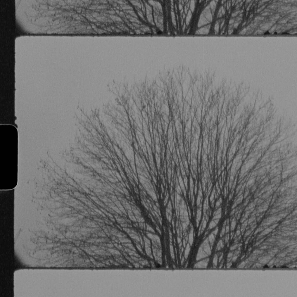 Cover image for Winter