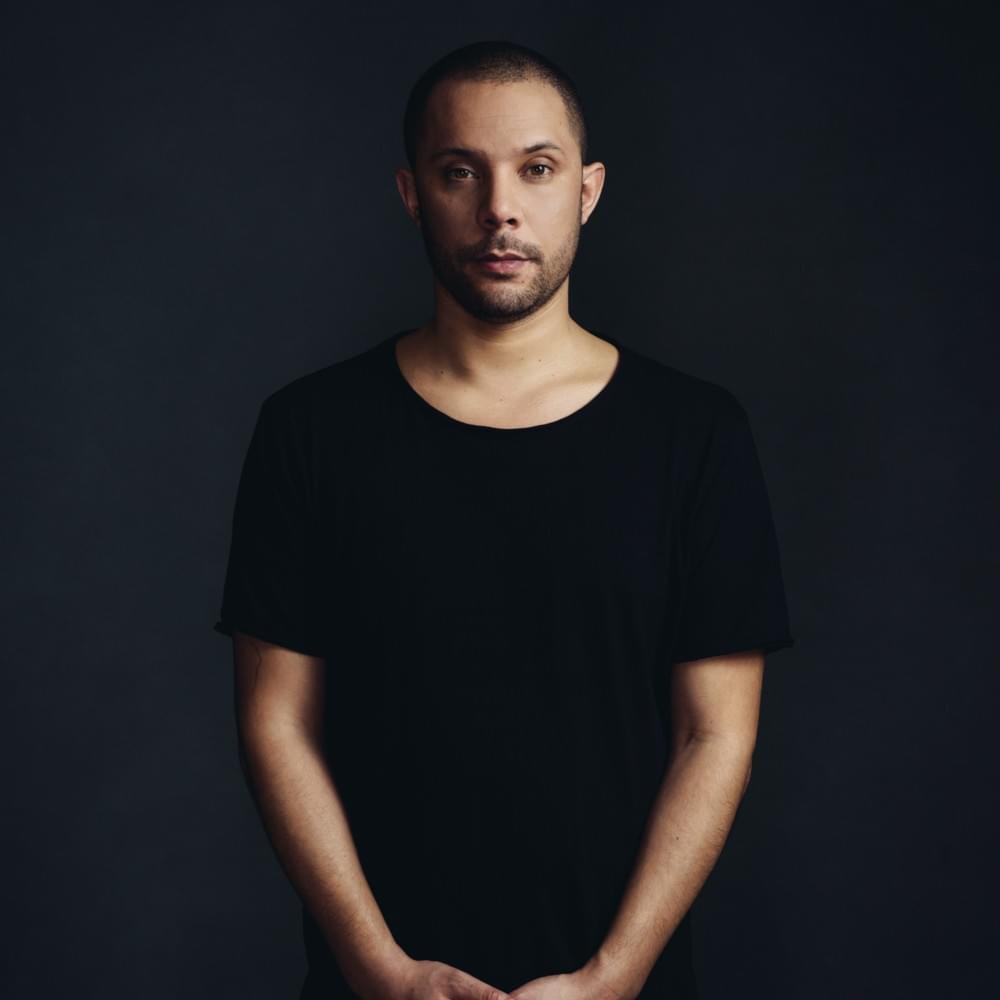 Cover image for Wildstylez