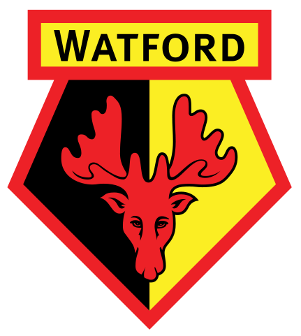 Photo of Watford FC