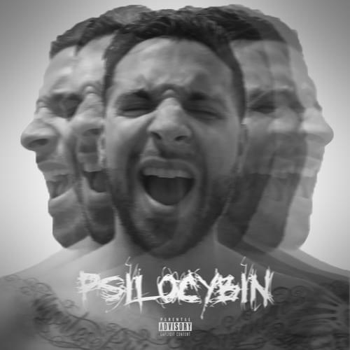 Album cover art for "PSILOCYBIN" by Chetta
