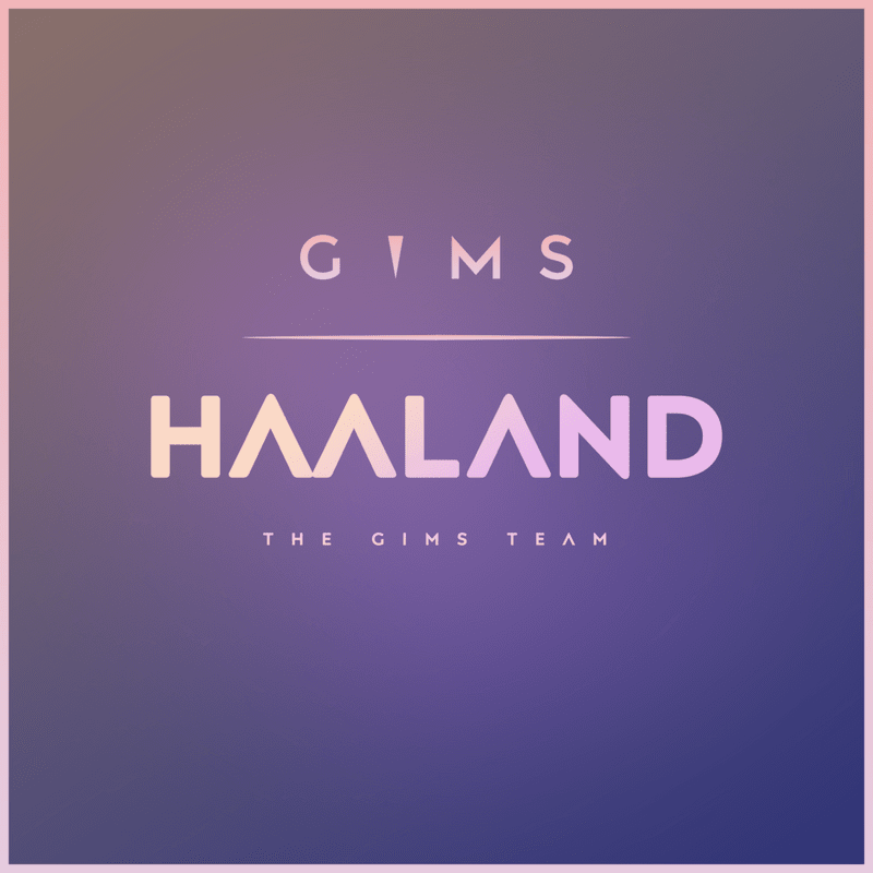 Album cover art for "Haaland" by GIMS