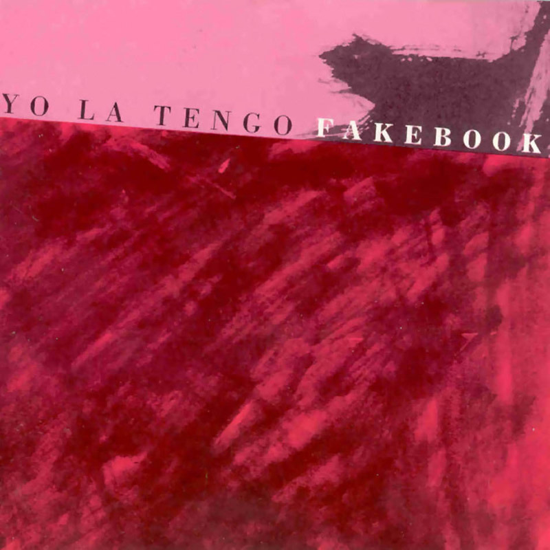 Cover image for Fakebook