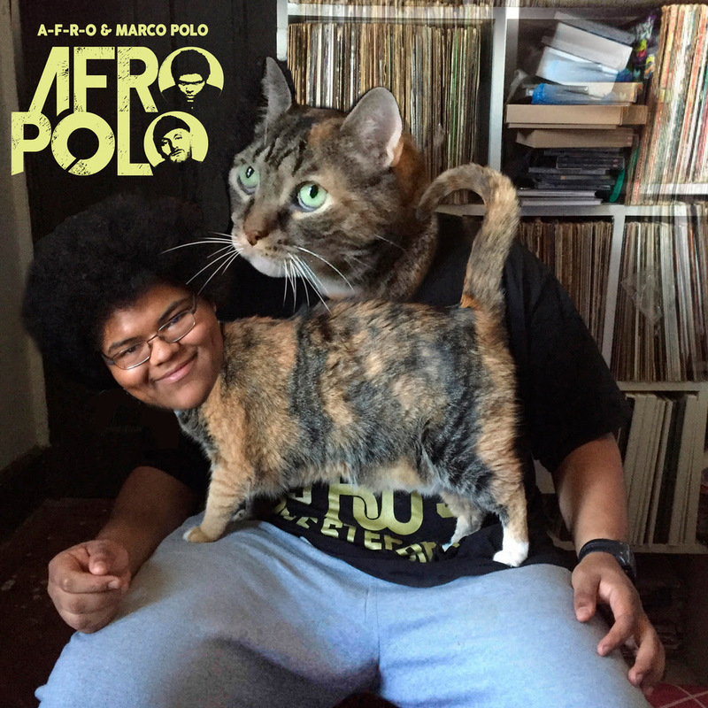 Cover image for A-F-R-O POLO