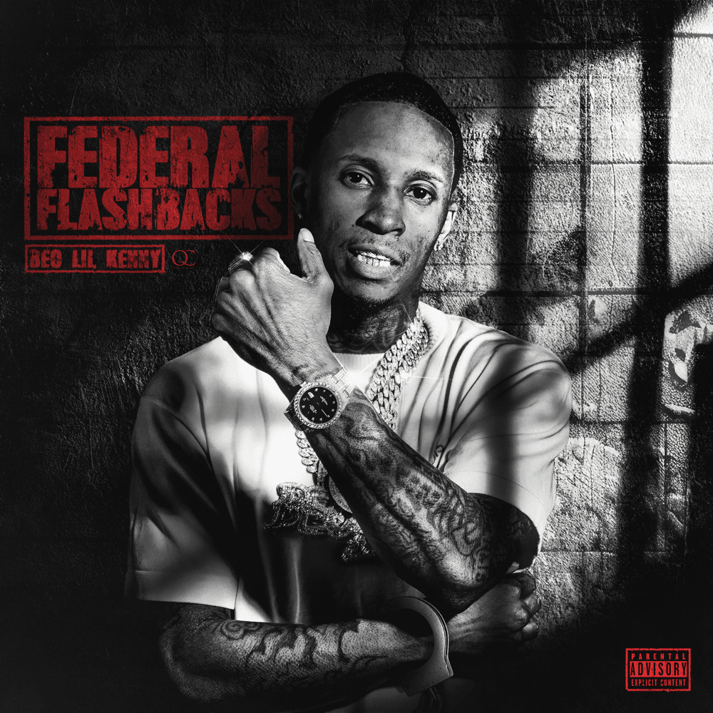 Cover image for Federal Flashbacks