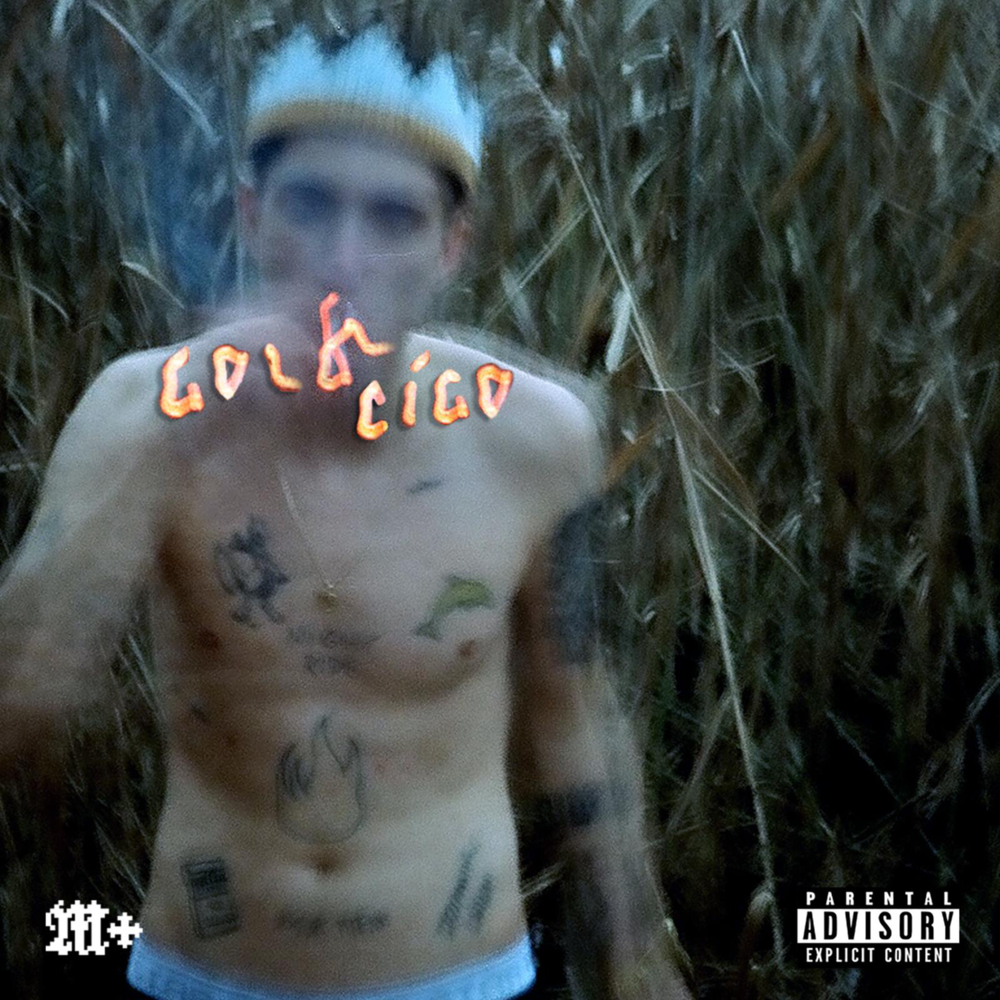 Cover image for GoldCigo