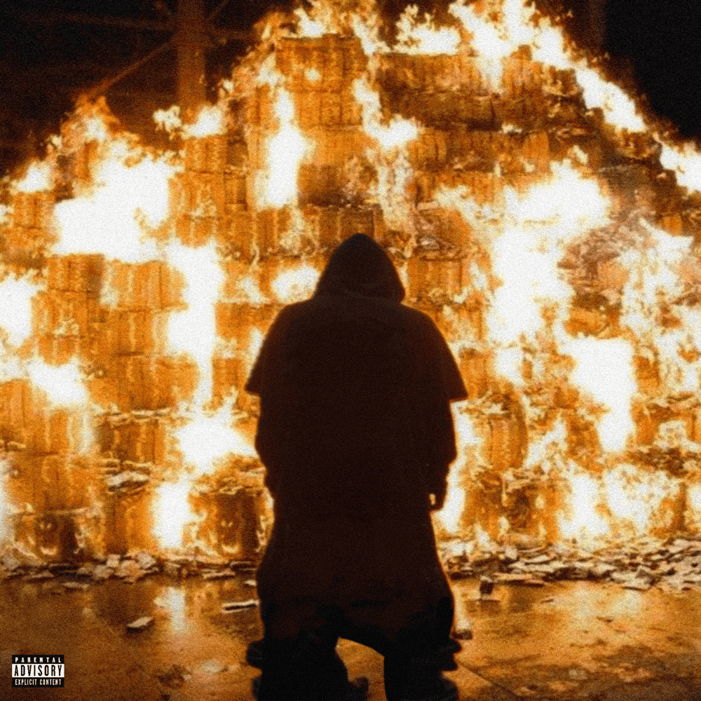Cover image for ARSONIST
