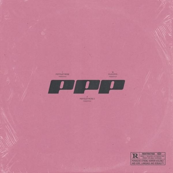 Cover image for PPP