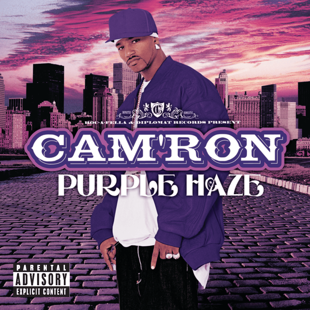 Album cover art for "Rude Boy (Skit)" by Cam’ron