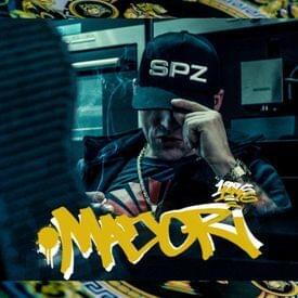 Album cover art for "Major SPZ - M.A.J.O.R (English Translation)" by Genius English Translations