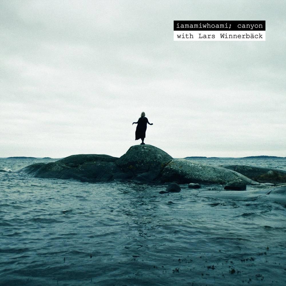 Album cover art for "canyon" by iamamiwhoami & Lars Winnerbäck