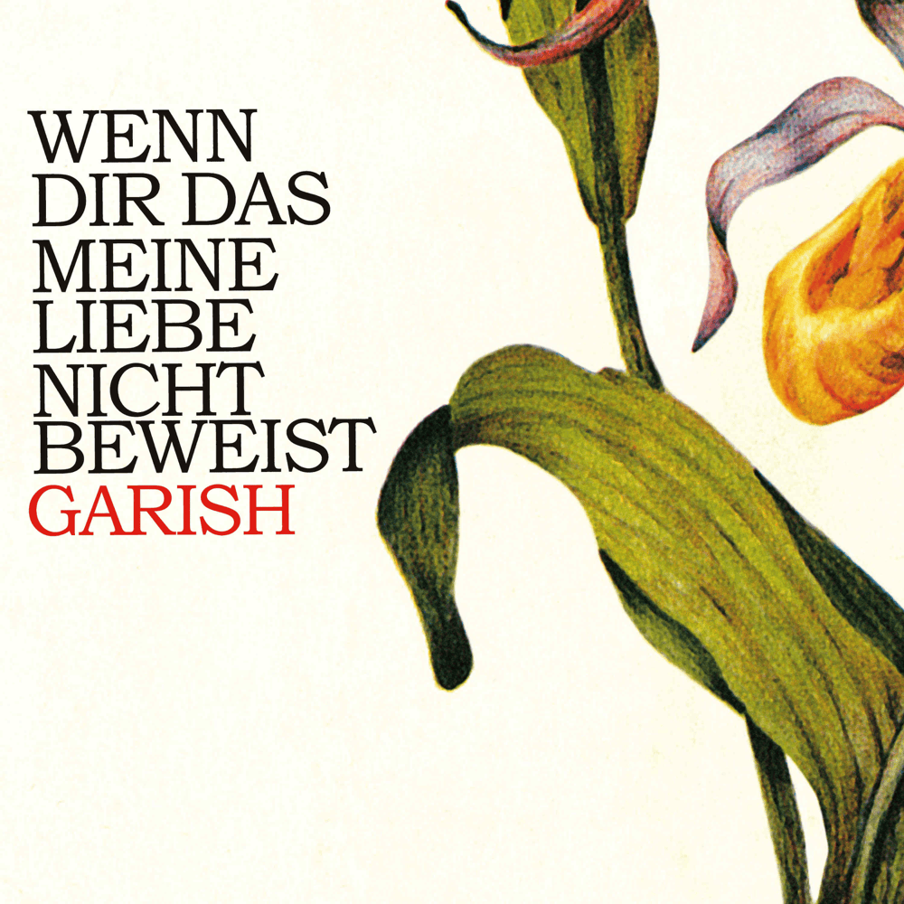 Album cover art for "Eisenherz" by Garish