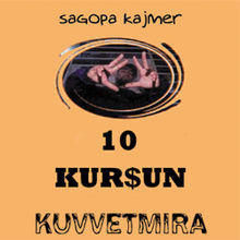 Album cover art for "Pesimist Stil" by Sagopa Kajmer