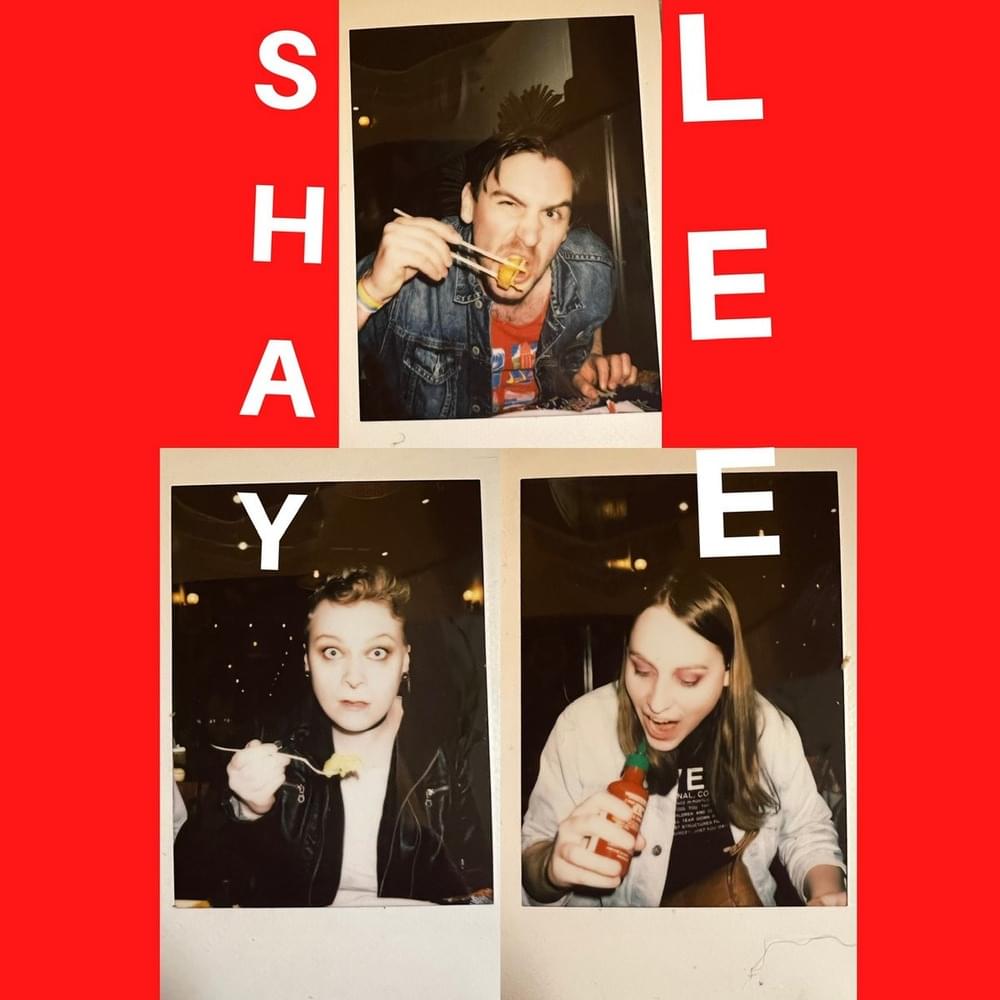 Cover image for Shaylee