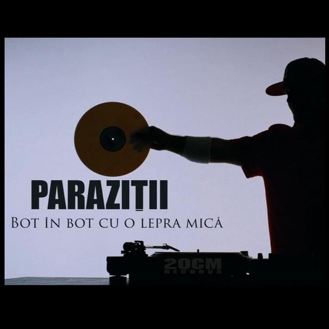 Cover image for Bot în bot cu o lepră mică